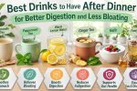 Best Nighttime Drinks to Relieve Bloating and Support Digestion